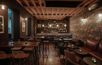 CASA JAGUAR.png (132 KB)