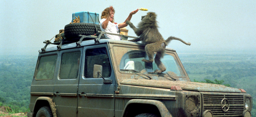 5ef07b0f426bf9.97502999.png (669 KB)