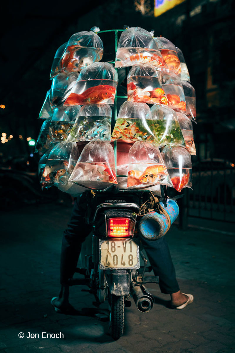 5ea58dd9318739.22587526.jpg (1.34 MB)